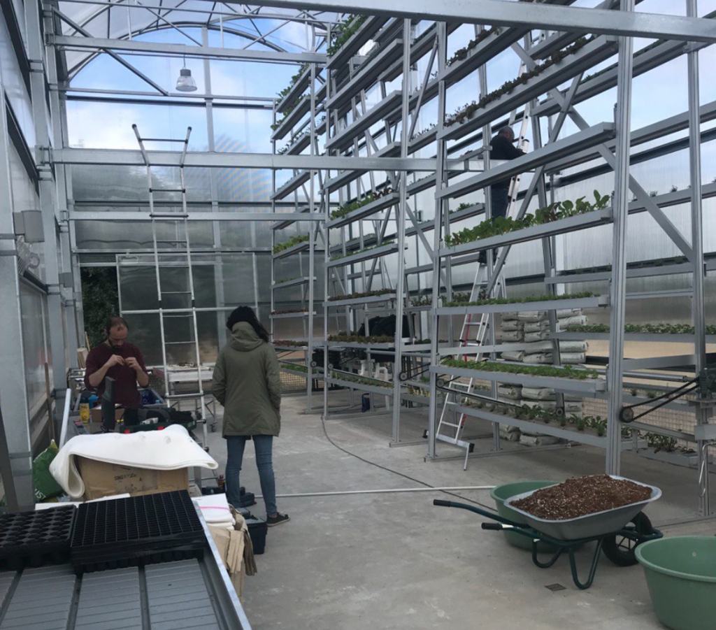 Figure 2 - Solarpunk and Ingrow at Upfarming greenhouse in Lisbon, Portugal.
